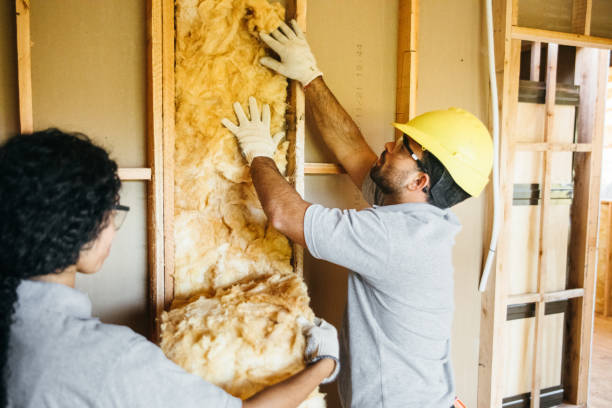 Best Home Insulation Services  in Grifton, NC