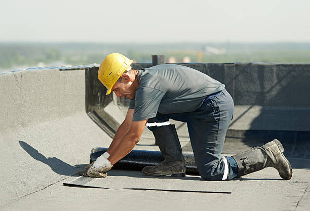 Best Attic Insulation Installation  in Grifton, NC
