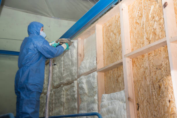 Best Blown-in Insulation  in Grifton, NC