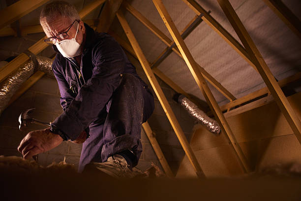 Best Crawl Space Insulation  in Grifton, NC